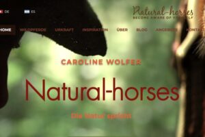 natural_horses
